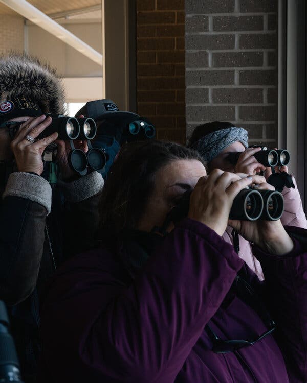 Four people, including Kim Ehn, president of the Dunes Calumet Audubon Society, are bundled up against the cold inside a building, hold binoculars up to their eyes while looking outside.